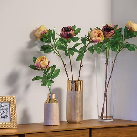 Unique Luxury Designers Apartment 扎达尔 外观 照片